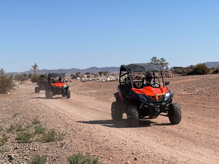 Marrakech Buggy Palmerie and Desert - Key points to know