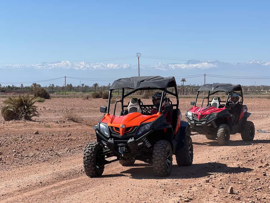 Marrakech Buggy Palmerie and Desert - The tea break that actually feels Moroccan