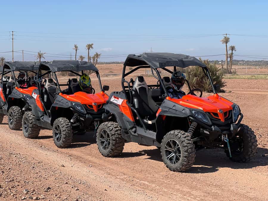 Marrakech Buggy Palmerie and Desert - Photo stops and the guides who make it worth it