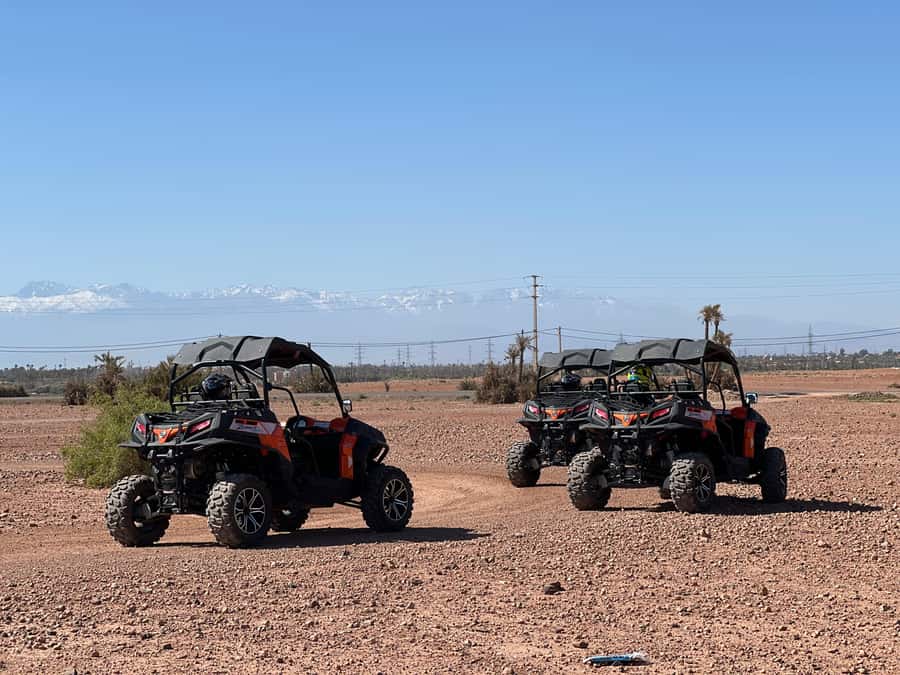 Marrakech Buggy Palmerie and Desert - Berber village views and how culture fits the drive