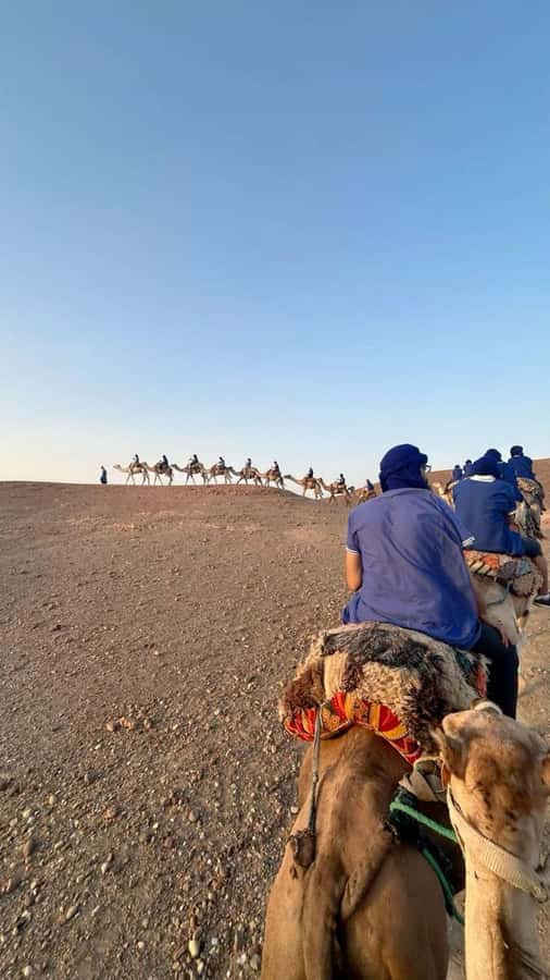 Marrakech: Camel & Quad Bike Tour with Sunset, Dinner & Show - FAQ