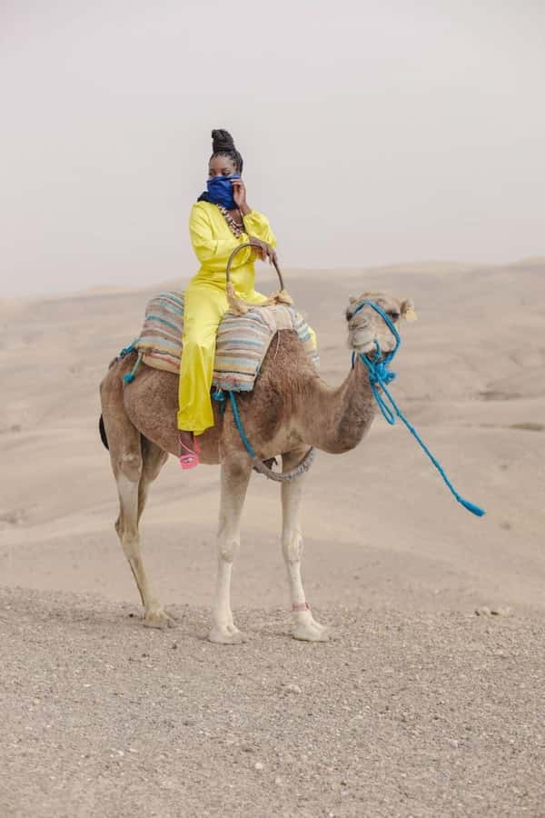 Marrakech: Camel & Quad Bike Tour with Sunset, Dinner & Show - From the Medina pickup to the Agafay Desert edge