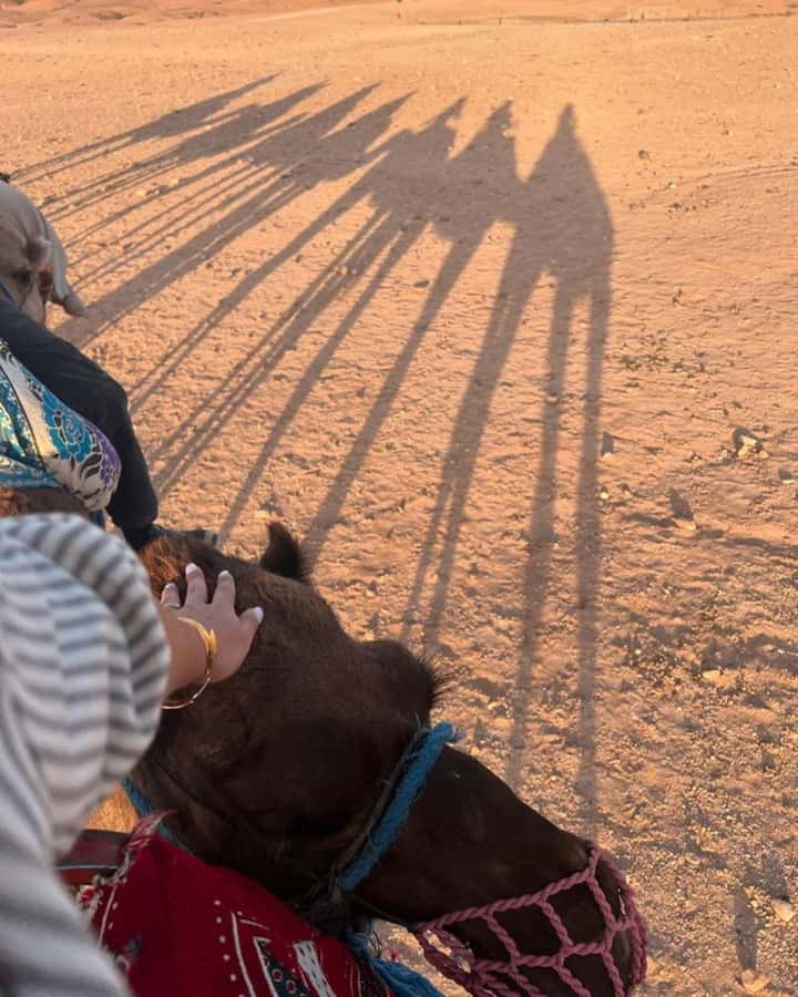 Marrakech: Camel & Quad Bike Tour with Sunset, Dinner & Show - 30-minute quad biking with two per machine