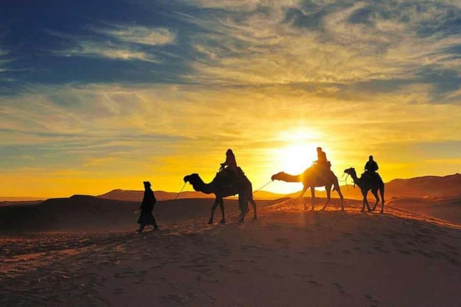 Marrakech: Camel & Quad Bike Tour with Sunset, Dinner & Show - Argan oil cooperative and tea with a view