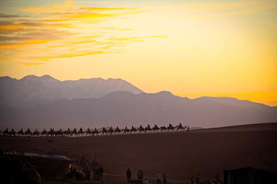 Marrakech: Camel Ride, Dinner, Pool, and Fire Show in Agafay - Price and Value Check: Is $23 Fair?