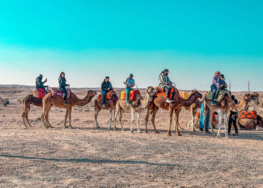 Marrakech: Camel Ride, Dinner, Pool, and Fire Show in Agafay - The 20-Minute Camel Ride at Sunset