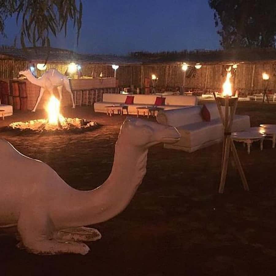 Marrakech: Camel Ride & Dinner with Sunset in Agafay Desert - Price and Value at About $11 Per Person