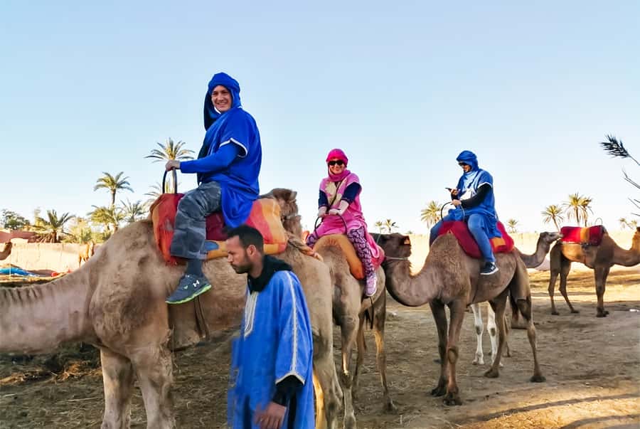 Marrakech: Camel Ride in the Oasis Palmeraie - Should you book the Marrakech Camel Ride in Oasis Palmeraie?