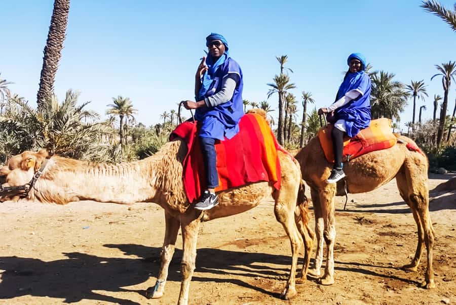 Marrakech: Camel Ride in the Oasis Palmeraie - Mint Tea in a Nomadic Area: The Pause That Makes It Memorable