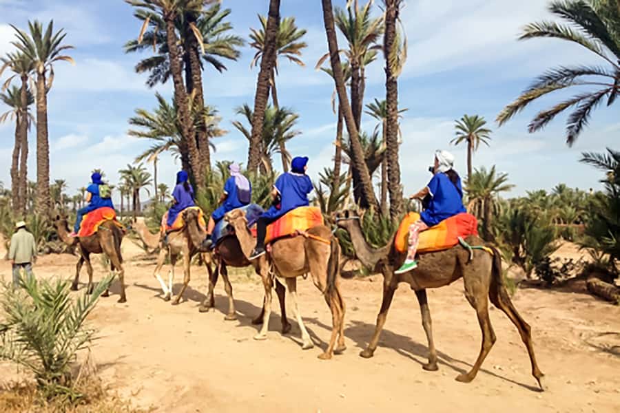 Marrakech: Camel Ride in the Oasis Palmeraie - Village-Life Stops and Local Conversation Outside the City Center