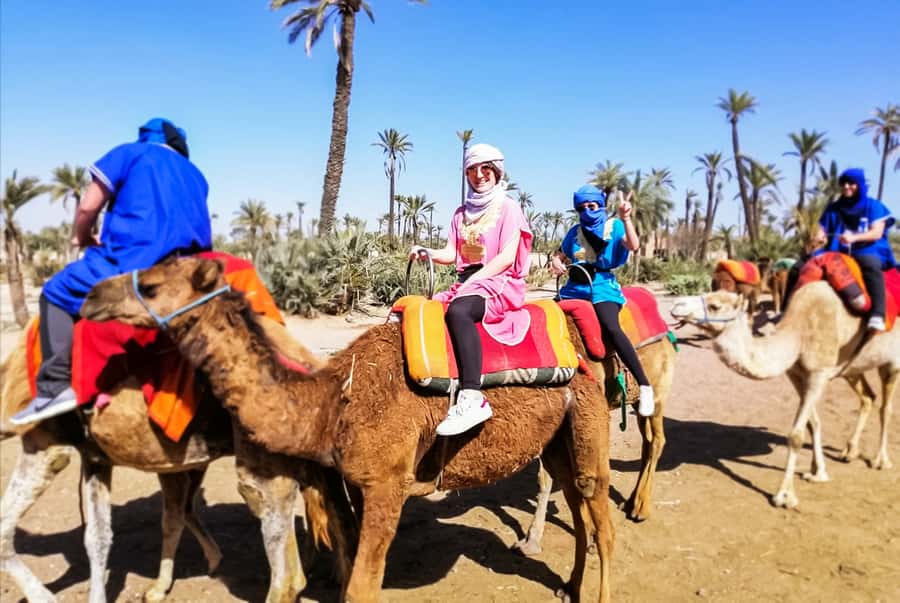 Marrakech: Camel Ride in the Oasis Palmeraie - Price and Value: Is $26 a Good Deal for Marrakech?