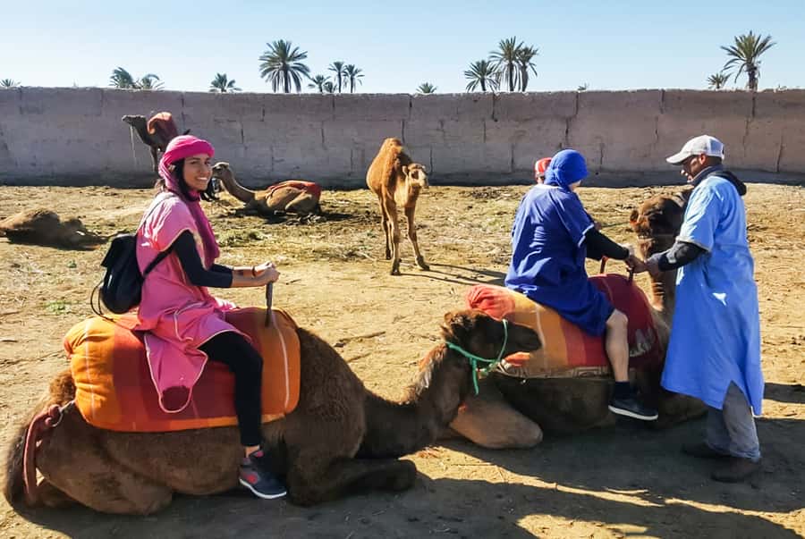 Marrakech: Camel Ride in the Oasis Palmeraie - Practical Tips for a Smooth Ride (Bring This, Skip That)