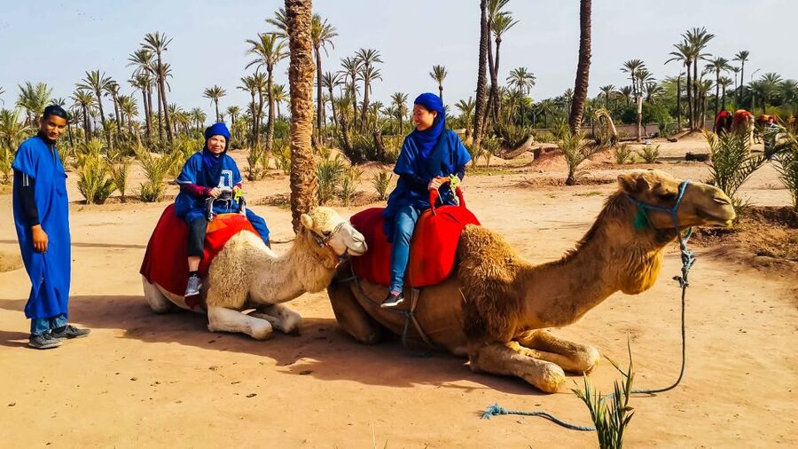 Marrakech: Camel Ride in the Oasis Palmeraie - Who Should Book This Camel Ride, and Who Might Pass