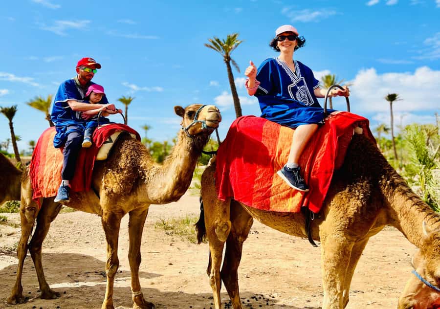 Marrakech: Camel Ride in the Oasis Palmeraie - The Camel Ride Through the Palmeraie: What 1 Hour on a Desert Ship Feels Like