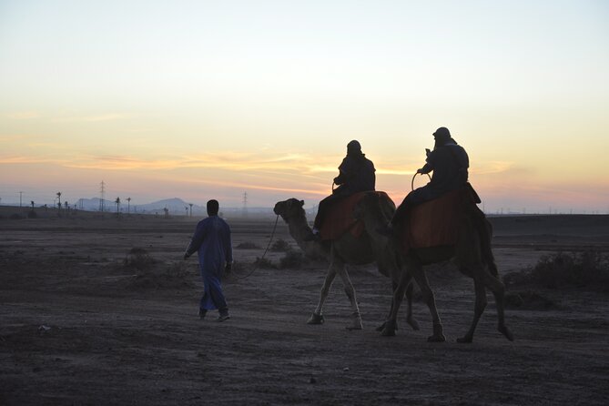 Marrakech camel ride in the palm grove - Key things I’d bet on before you go
