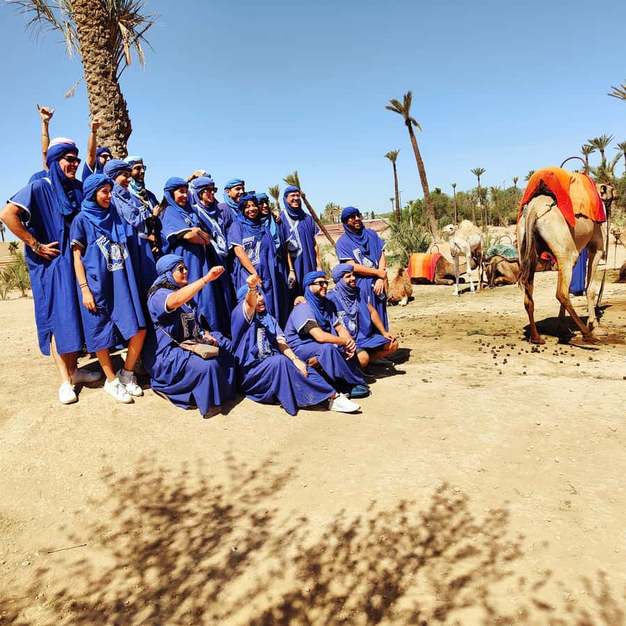 Marrakech camel ride in the palm grove - Comfort level and who should skip it