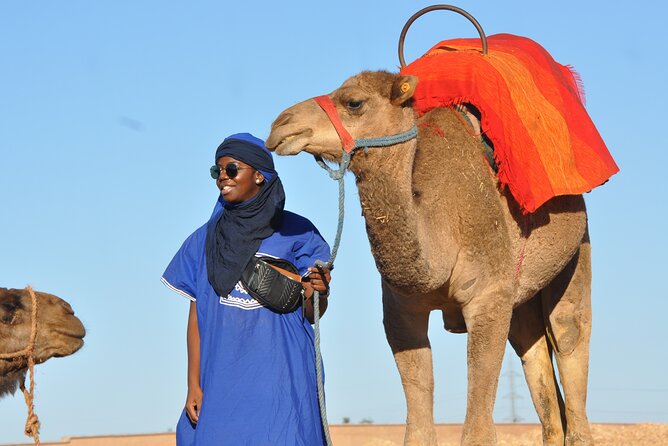 Marrakech camel ride in the palm grove - The mint tea break: a Moroccan reset in the palm grove