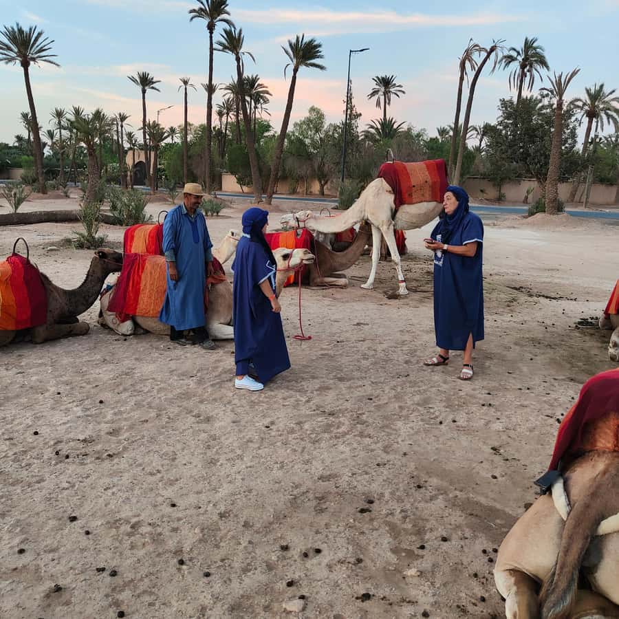 Marrakech camel ride in the palm grove - Heat management: what to pack so the ride stays fun