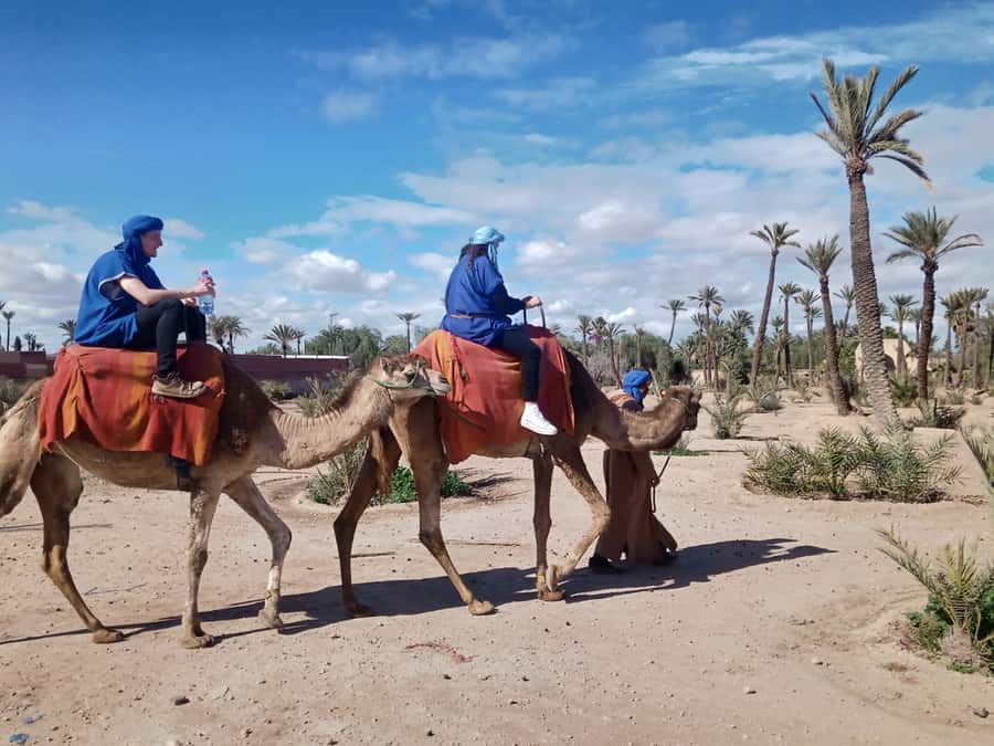 Marrakech camel ride in the palm grove - Timing, ride length, and why it can feel different day to day