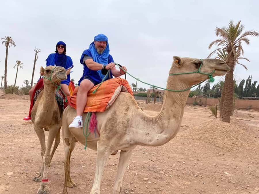 Marrakech Camel Ride in the Palmeraie Palm Grove - Key highlights at a glance