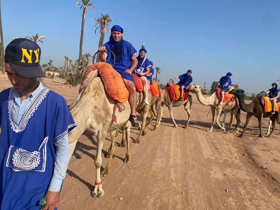 Marrakech Camel Ride in the Palmeraie Palm Grove - 1 hour in the saddle: how the Palmeraie route feels