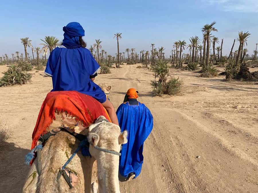 Marrakech Camel Ride in the Palmeraie Palm Grove - The setup: pickup, meeting point, and your chache and gandora outfit