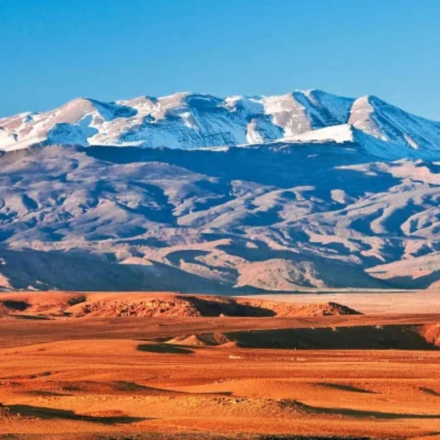Marrakech: Camel Ride & Sunset Dinner with Fire Show - Should you book this Marrakech to Agafay camel ride and sunset dinner?