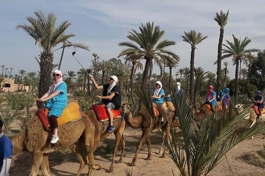 Marrakech: Camel Trek - Key things to know before your Marrakech camel trek