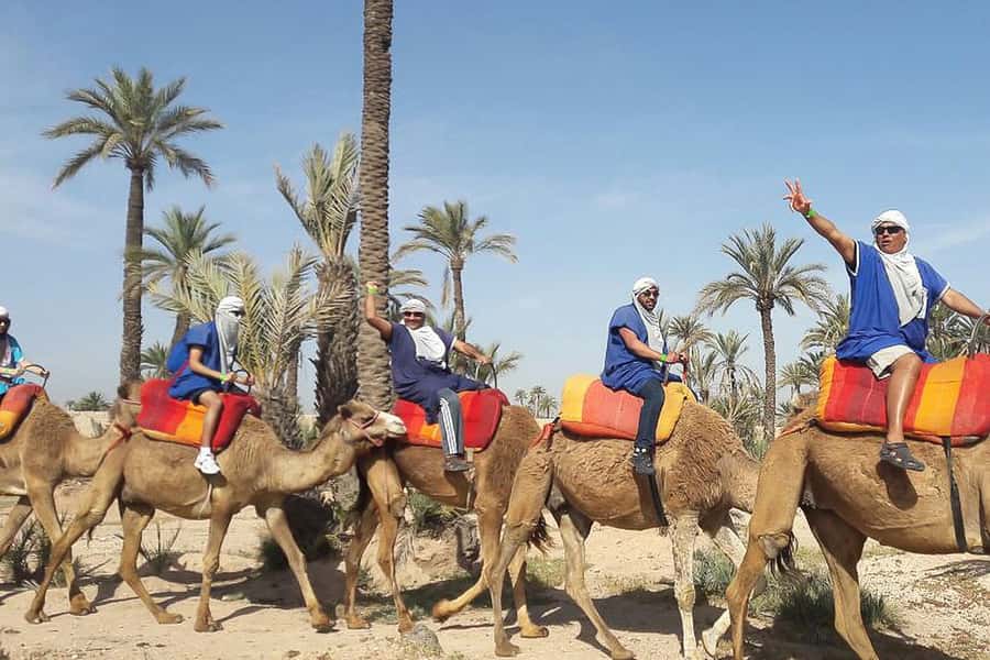 Marrakech: Camel Trek - Price and value: is $40 per person a good deal?