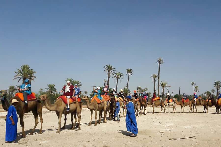 Marrakech: Camel Trek - Getting picked up: what hotel access really means in Marrakech