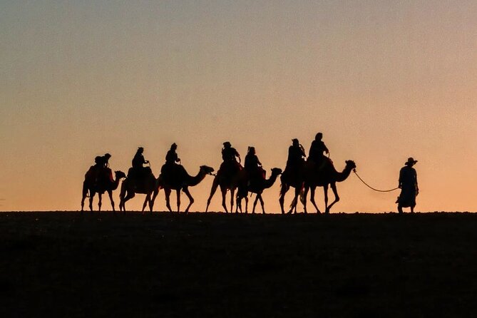 Marrakech: Camels & Quads on Sunset and Luxury Dinner with Show - What makes this tour work so well