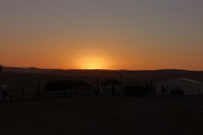 Marrakech: Camels & Quads on Sunset and Luxury Dinner with Show - The Berber cooperative visit and the argan-oil moment you might see