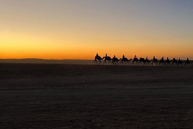Marrakech: Camels & Quads on Sunset and Luxury Dinner with Show - Guides and drivers: the difference between smooth and stressful