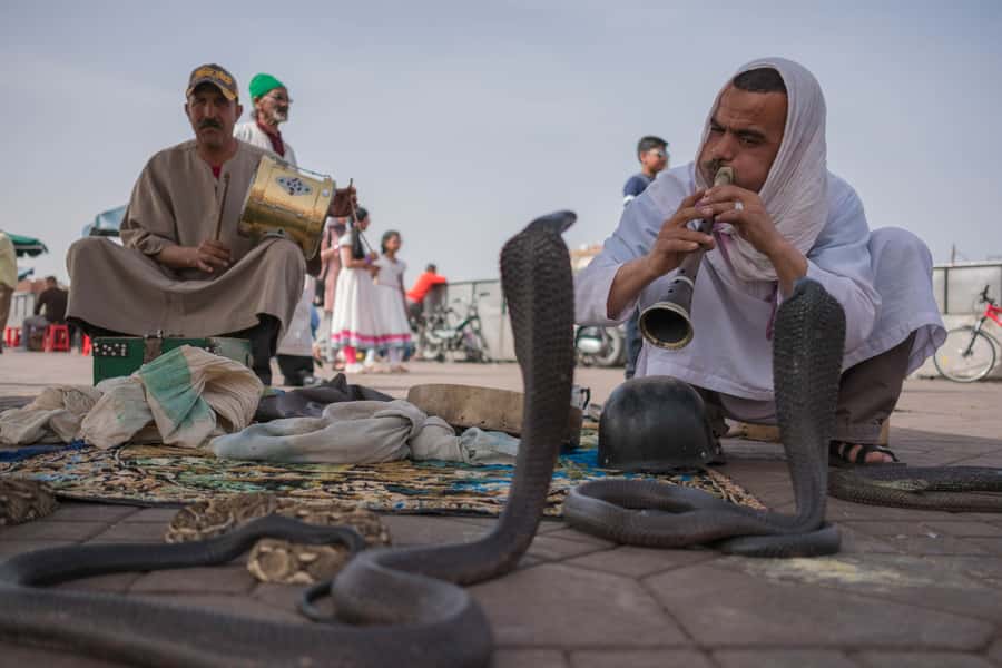 Marrakech: Customized Guided Walking Tour - Key highlights you’ll feel on the street