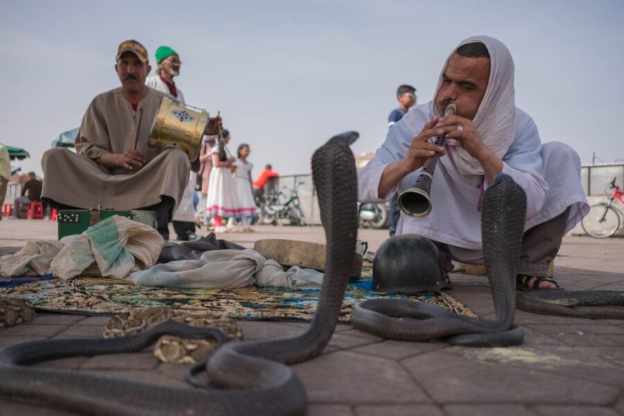 Marrakech: Customized Guided Walking Tour - Timing: 3 to 6 hours means choices, not just duration