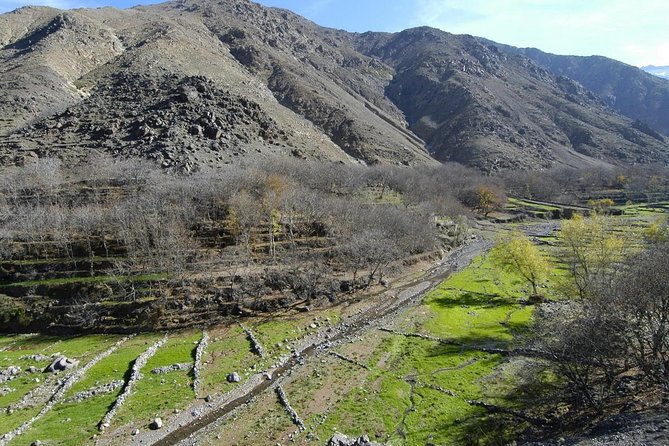 Marrakech day tour to Atlas Mountains & Ourika valley - Argan oil cooperative visit, and why this stop feels worth it
