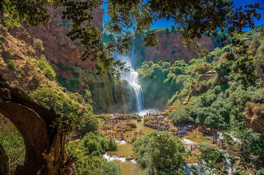 Marrakech: Day Tour to Ouzoud Waterfalls with Boat Trip - Who This Tour Suits Best (And Who Should Rethink It)