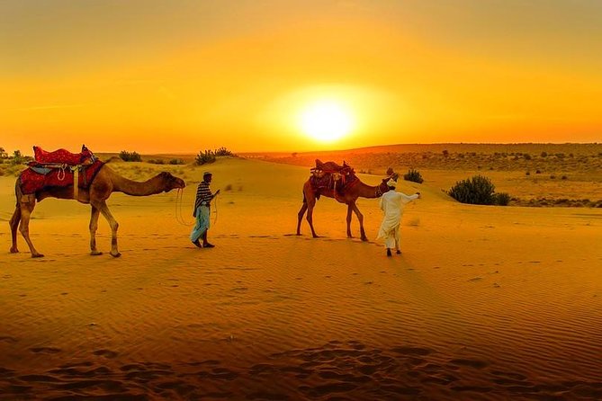 Marrakech Day Trip: Agafay Desert, Atlas Mountains and Camel Ride - Key things you’ll notice on this Agafay and Atlas day