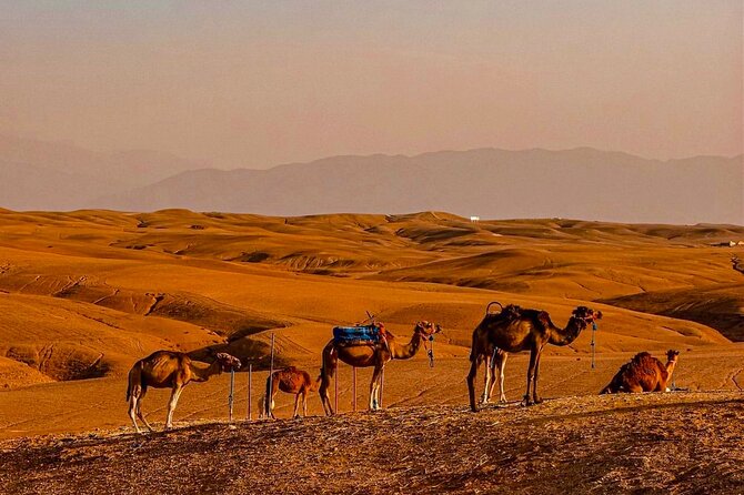 Marrakech Day Trip: Agafay Desert, Atlas Mountains and Camel Ride - Agafay camel ride: fun, but set expectations for the time