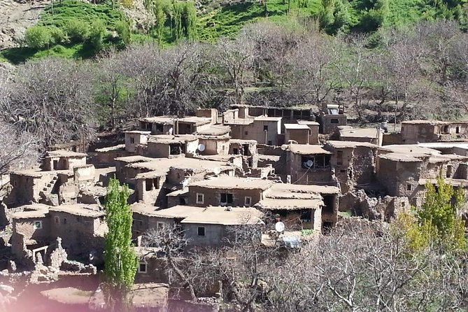 Marrakech Day Trip: Agafay Desert, Atlas Mountains and Camel Ride - First stop: the argan oil co-operative, and why it is more than a shop