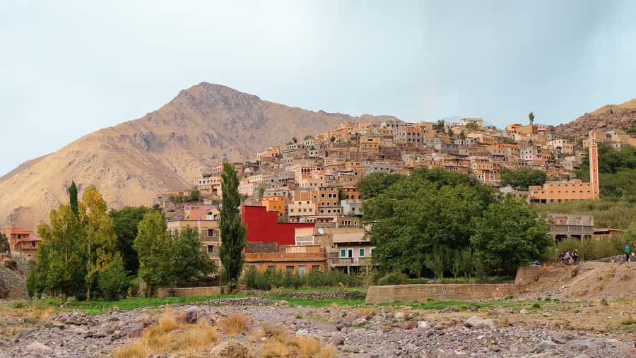 Marrakech Day trip Atlas Mountains & Agafay Desert - Price and logistics: what $29 covers, and what to budget