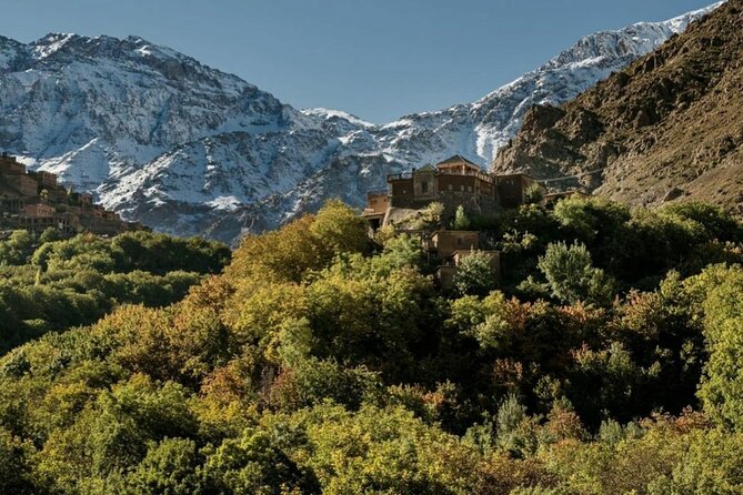 Marrakech: Day Trip to ourika valley & Atlas Mountains - Key highlights you should know