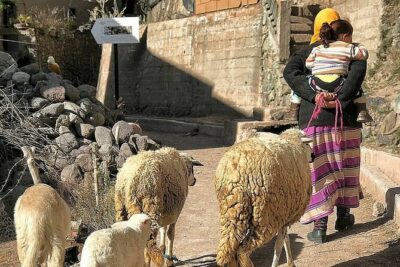 Day Trip to ourika valley & Atlas Mountains