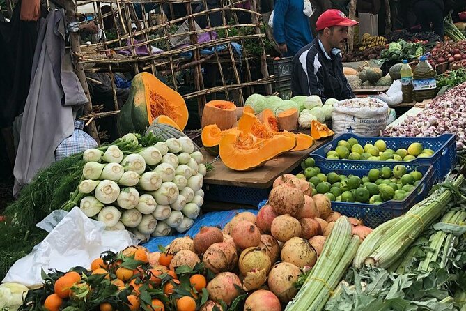Marrakech: Day Trip to ourika valley & Atlas Mountains - Practical details: what to pack and how to enjoy the day