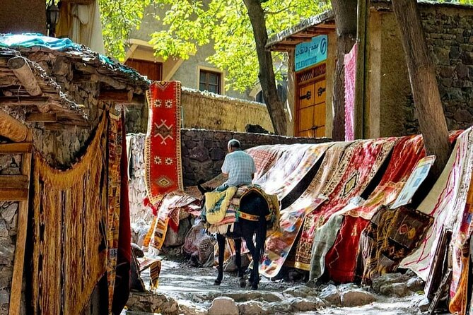 Marrakech: Day Trip to ourika valley & Atlas Mountains - Who this tour suits best, and who should skip it