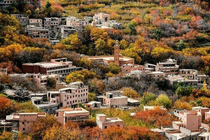 Marrakech: Day Trip to ourika valley & Atlas Mountains - Should you book this Marrakech to Ourika Valley trip?