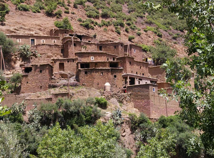 Marrakech Day Trip to Ourika valley & Waterfalls - Leaving Marrakech: the drive that sets the tone