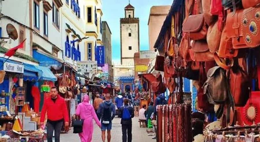 Marrakech: Day Trip to the Beautiful and Historic Essaouira - Argan Tree Fields and the Women’s Cooperative Stop