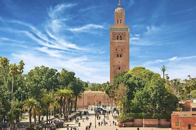 Marrakech Day Trip with Camel Ride from Casablanca - Price and logistics: what $110 buys you, plus what to budget