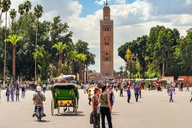 Marrakech Day Trip with Camel Ride from Casablanca - Pickup and your tour team: who you’re really relying on